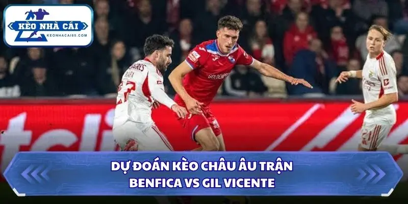 Soi kèo nhà cái Benfica vs Gil Vicente qua kèo châu Âu